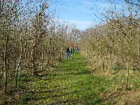 a_Eichenwald_April_2010